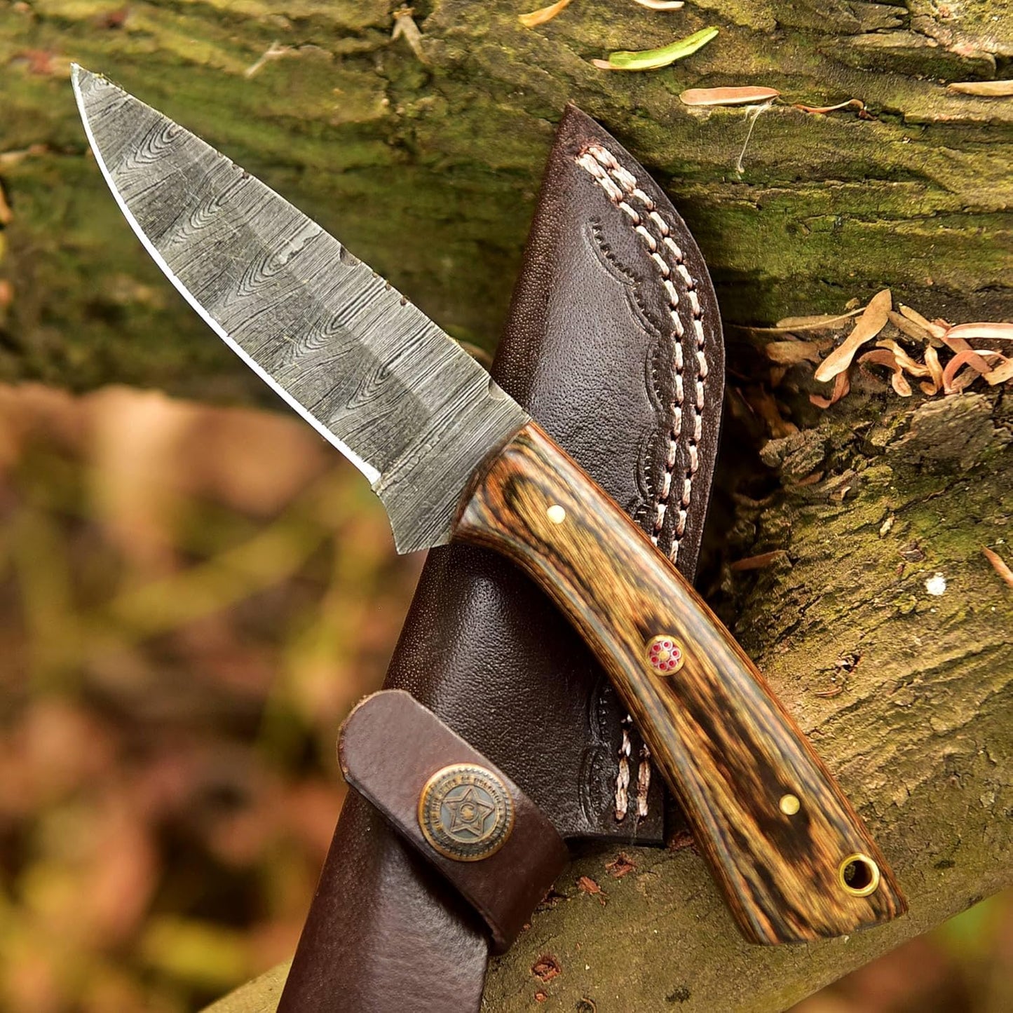 Pakka Wood Handle 7.5" Damascus Hunting Knife