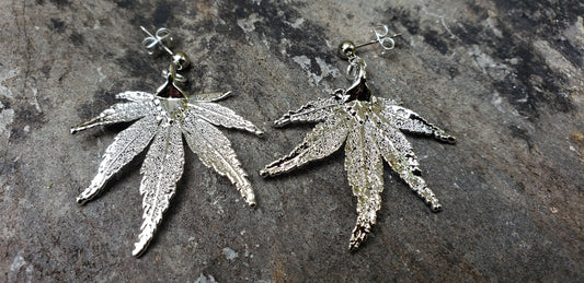 Real Leaf Silver Earrings | Real Dipped Japanese Maple Leaf | Bridesmaids Wedding Gift | Mother Wife Anniversary | Real Leaf Jewelry | SJEP