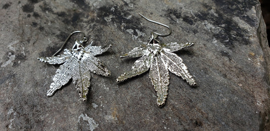 Real Leaf Silver Earrings | Real Dipped Japanese Maple Leaf | Bridesmaids Wedding Gifts | Mother Wife Anniversary | Real Leaf Jewelry | SJEW