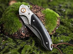 Ebony Sandal Wood Handle 7.8" Damascus Folding Knife