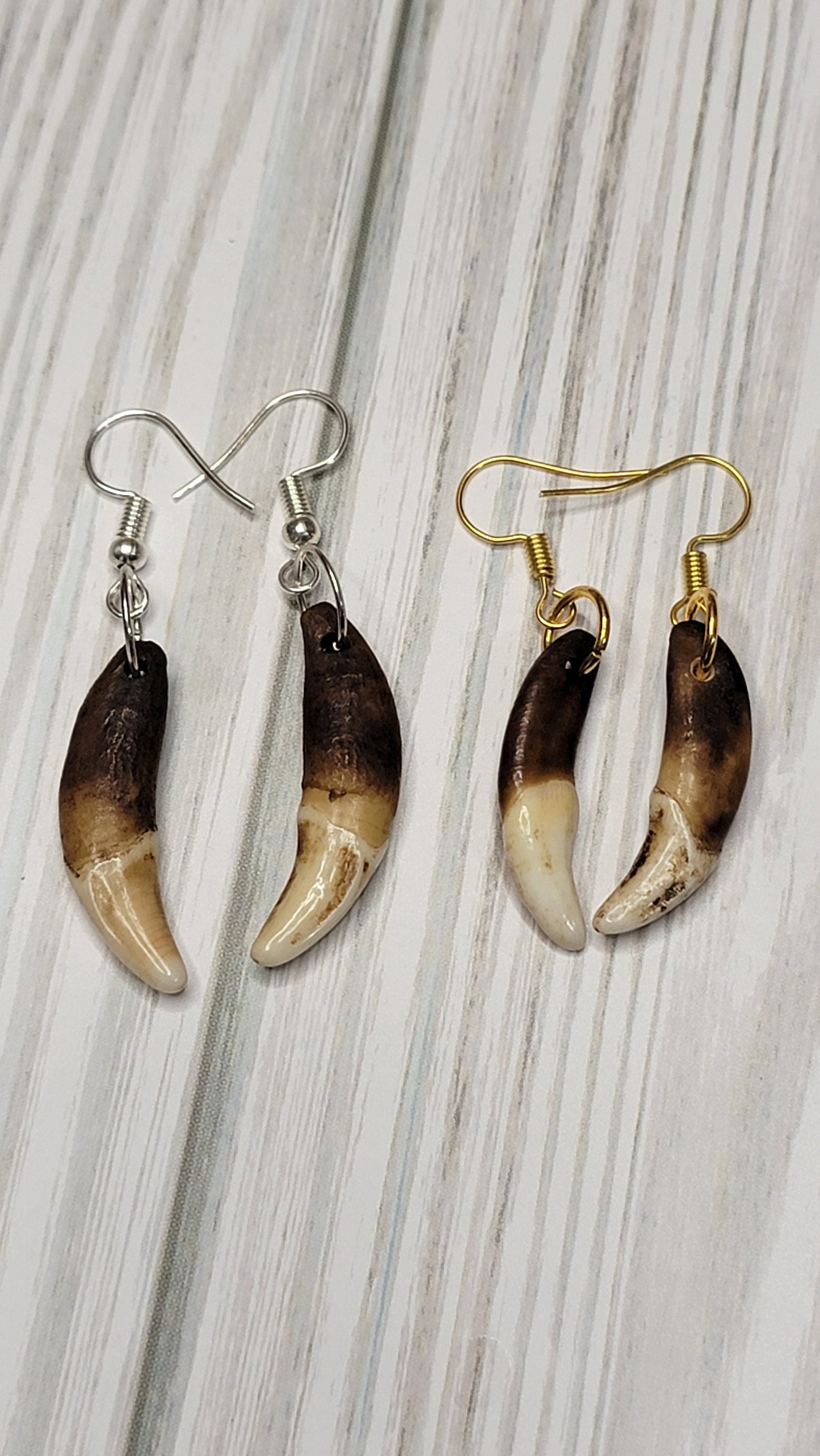 Antiqued Coyote Tooth Earrings - Handmade Boho Chic Jewelry, Artisan Crafted Rustic Viking, Native Style Earpieces, Unique Accessories AQCE