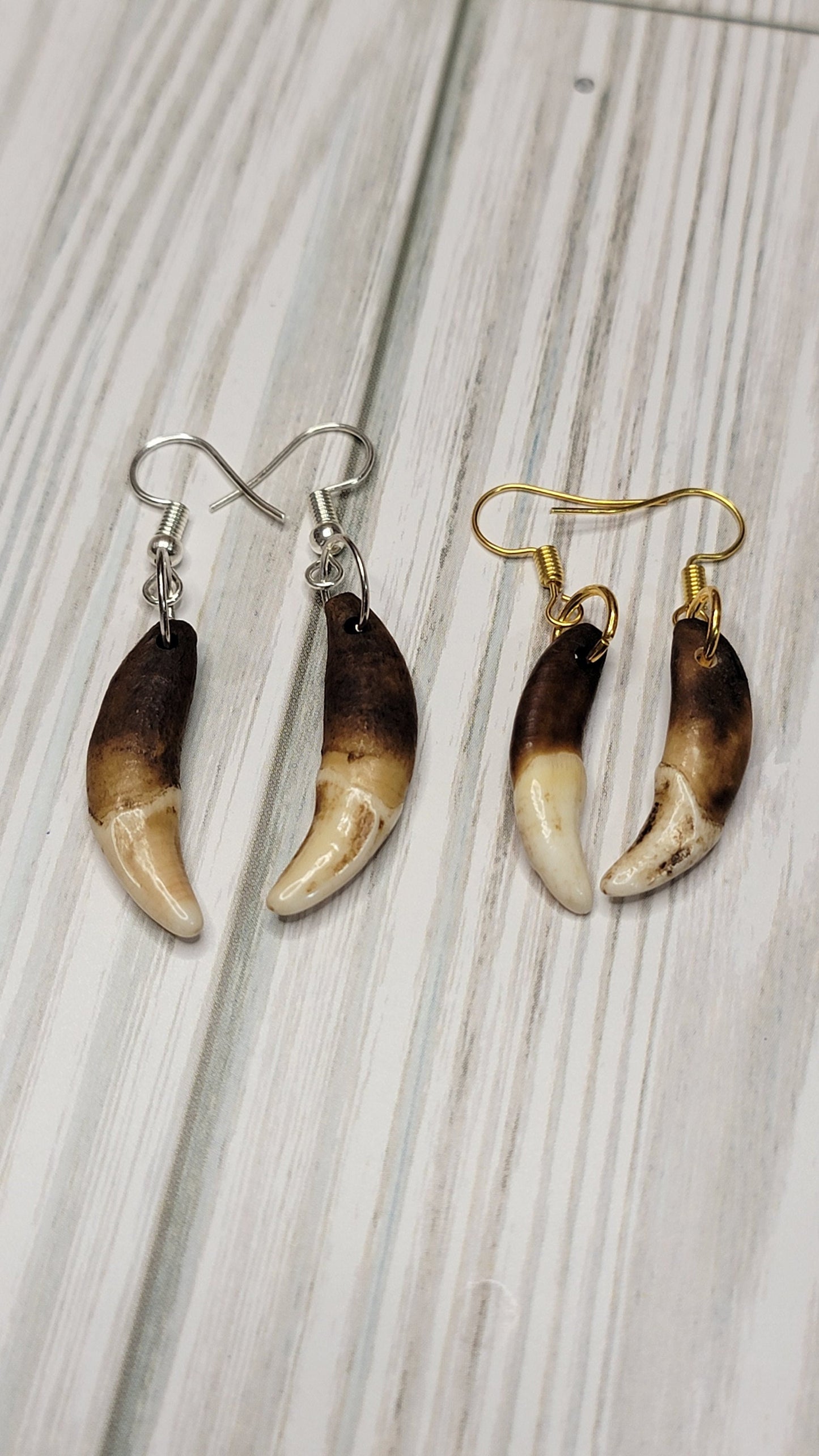 Antiqued Coyote Tooth Earrings - Handmade Boho Chic Jewelry, Artisan Crafted Rustic Viking, Native Style Earpieces, Unique Accessories AQCE