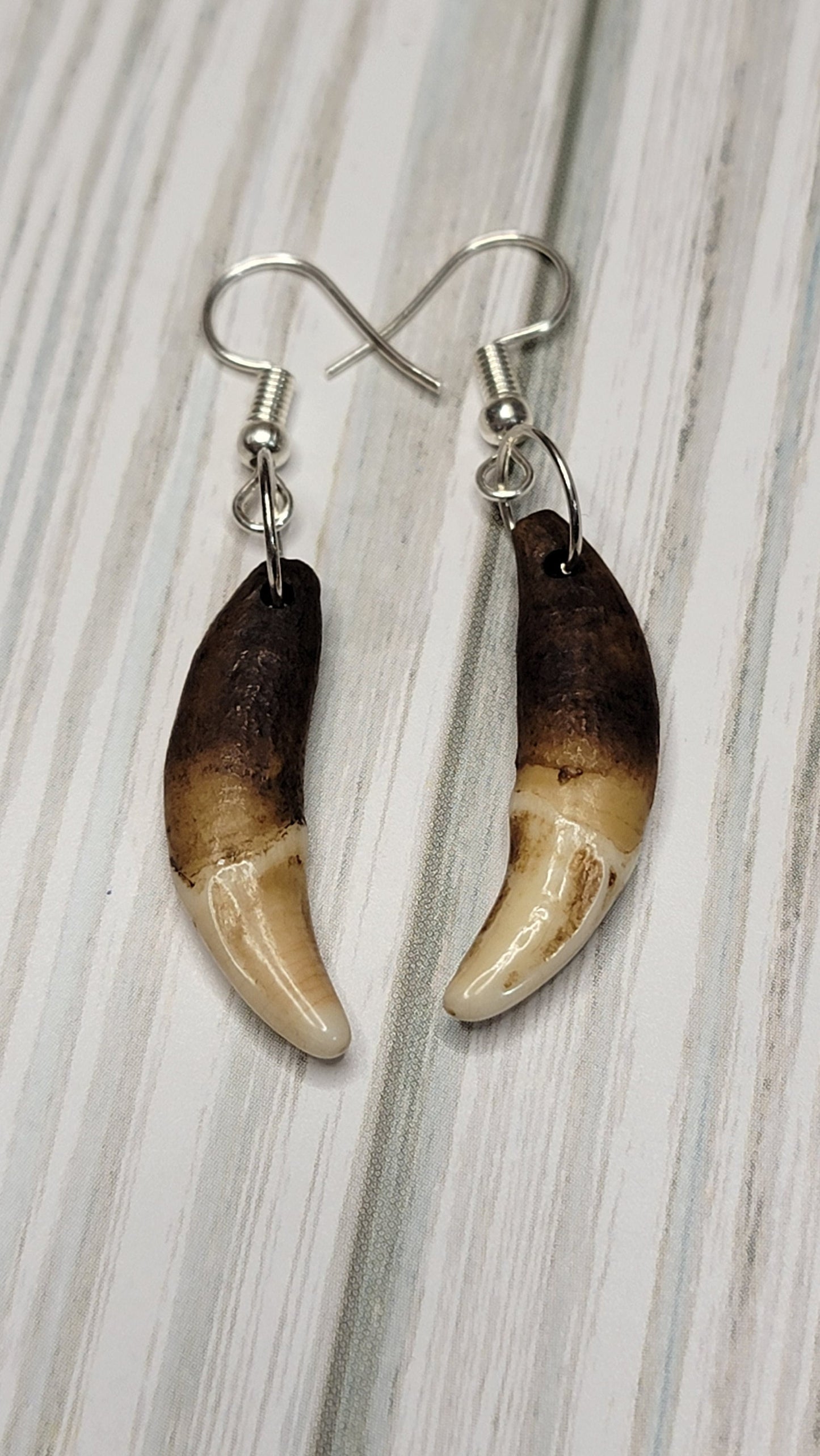 Antiqued Coyote Tooth Earrings - Handmade Boho Chic Jewelry, Artisan Crafted Rustic Viking, Native Style Earpieces, Unique Accessories AQCE