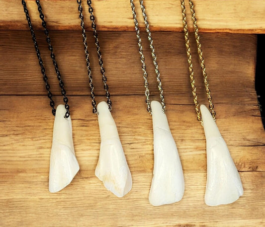 Authentic Buffalo Tooth Necklace - Handmade Rustic Viking Artisan Crafted, Native Tribal Style Custom Jewelry, Leather or Chain Option | BTN