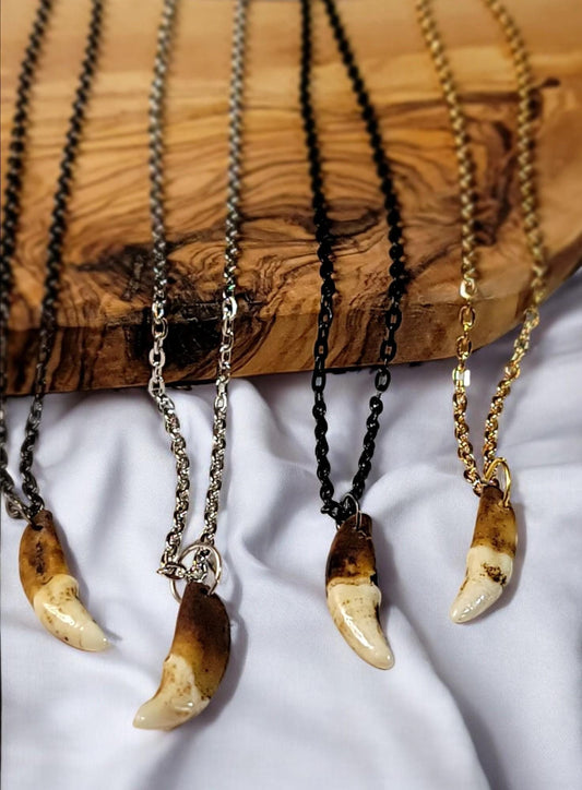Authentic Coyote Tooth Necklace - Handmade Rustic Viking Artisan Crafted, Native Tribal Style Custom Jewelry, Leather or Chain Option | AQCN