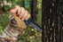 Black Stainless Steel Folding Knife Walnut Wood Handle RL02 - North Rustic