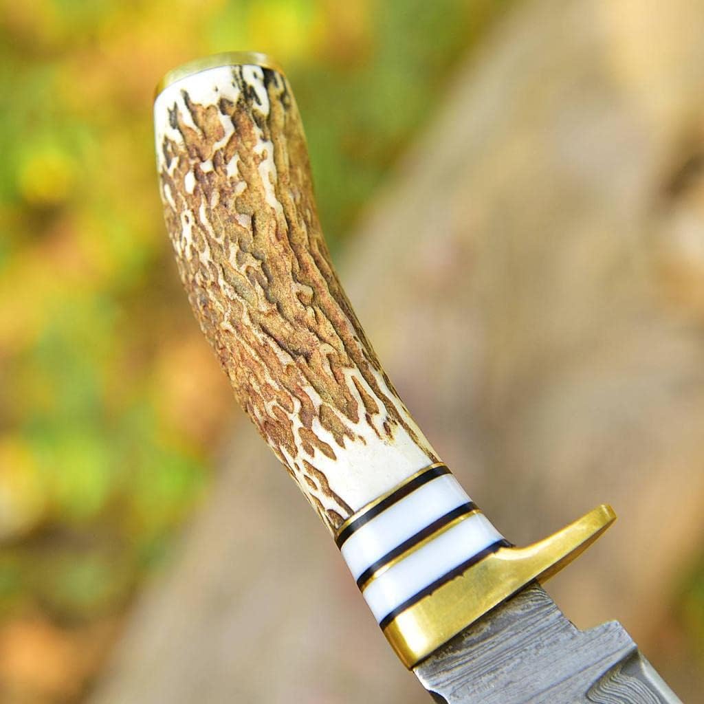 Deer Antler Handle 8.5" Damascus Hunting Knife