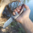 VG10 Damascus Pocket Folding Knife Rose Wood Handle NR04 - North Rustic