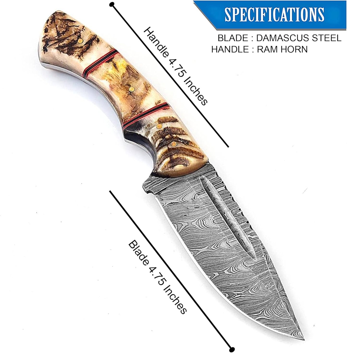 Ram Horn Handle 9.5" Damascus Hunting Knife