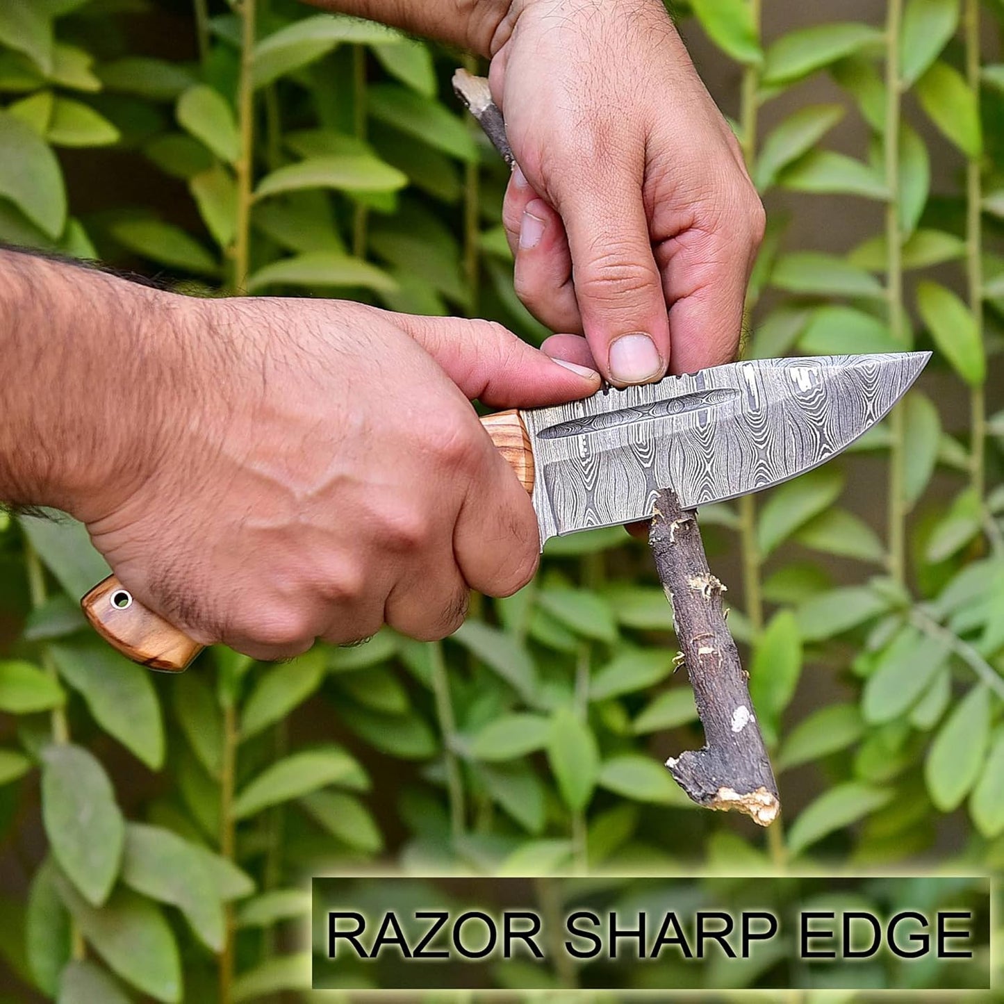 Olive Wood Handle 9.75" Damascus Hunting Knife