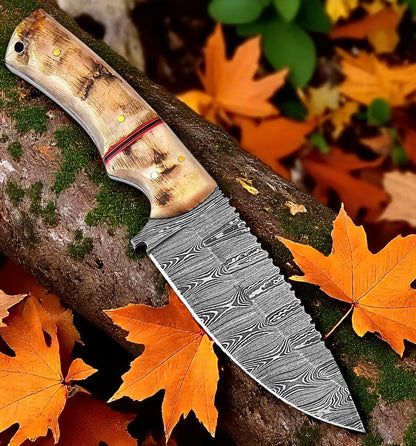 Ram Horn Handle 9.25" Damascus Hunting Knife