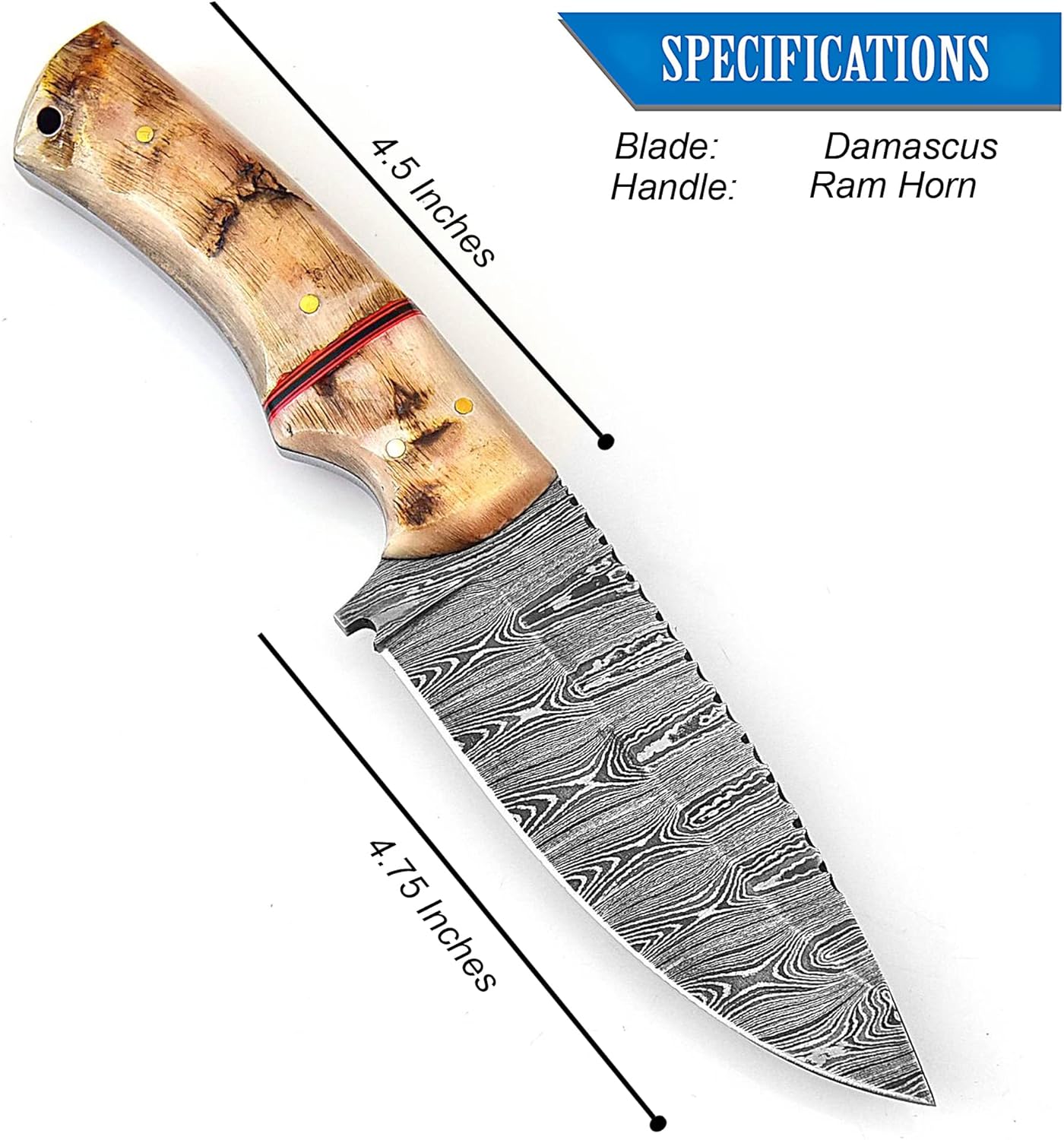 Ram Horn Handle 9.25" Damascus Hunting Knife