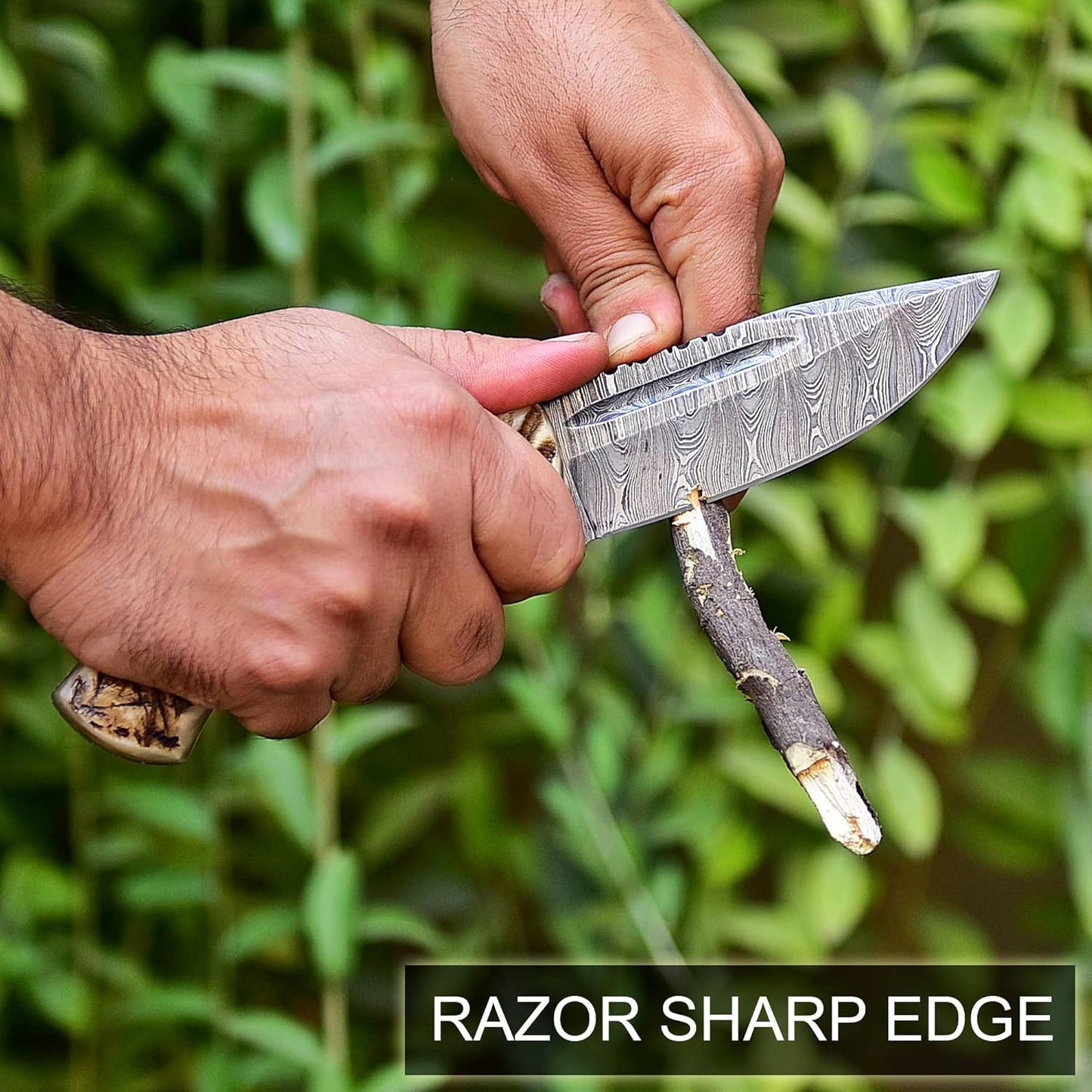 Ram Horn Handle 9.5" Damascus Hunting Knife
