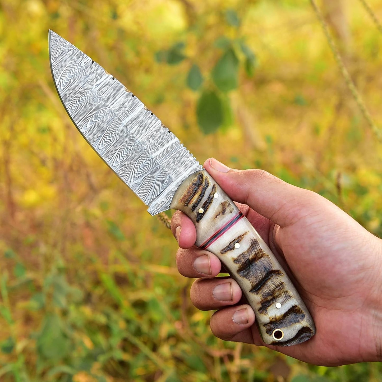 Ram Horn Handle 9.25" Damascus Hunting Knife