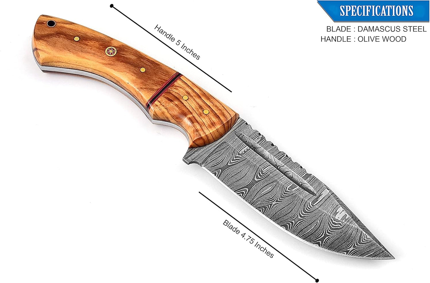 Olive Wood Handle 9.75" Damascus Hunting Knife