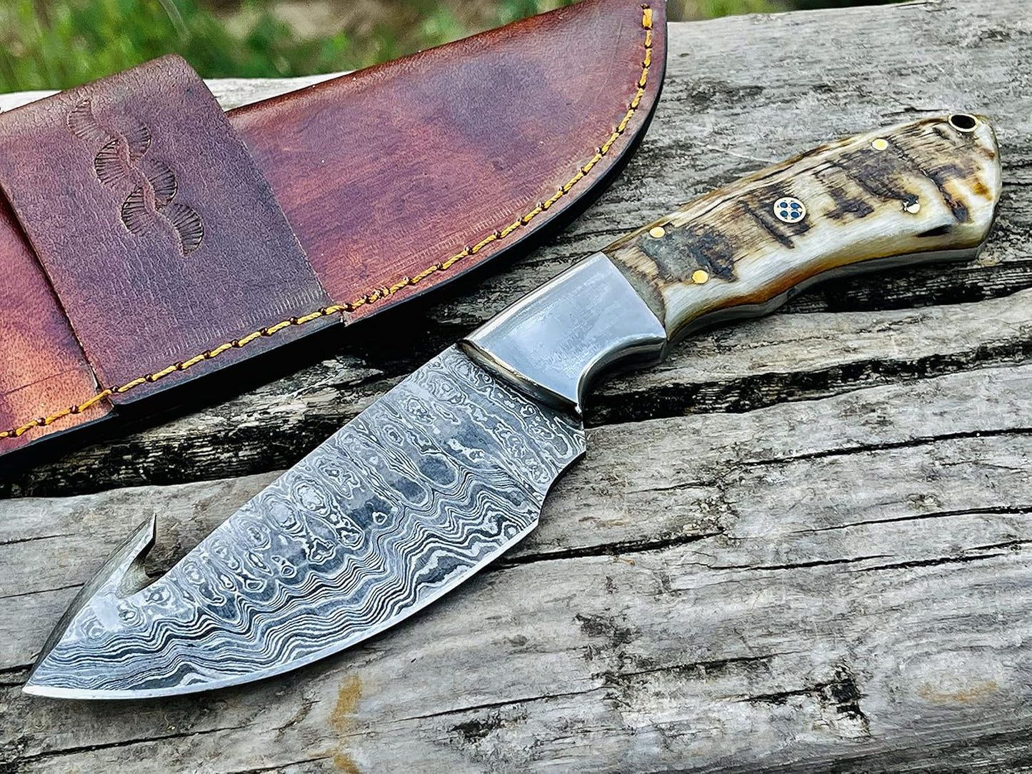 Ram Horn Handle 9.1" Damascus Hunting Knife