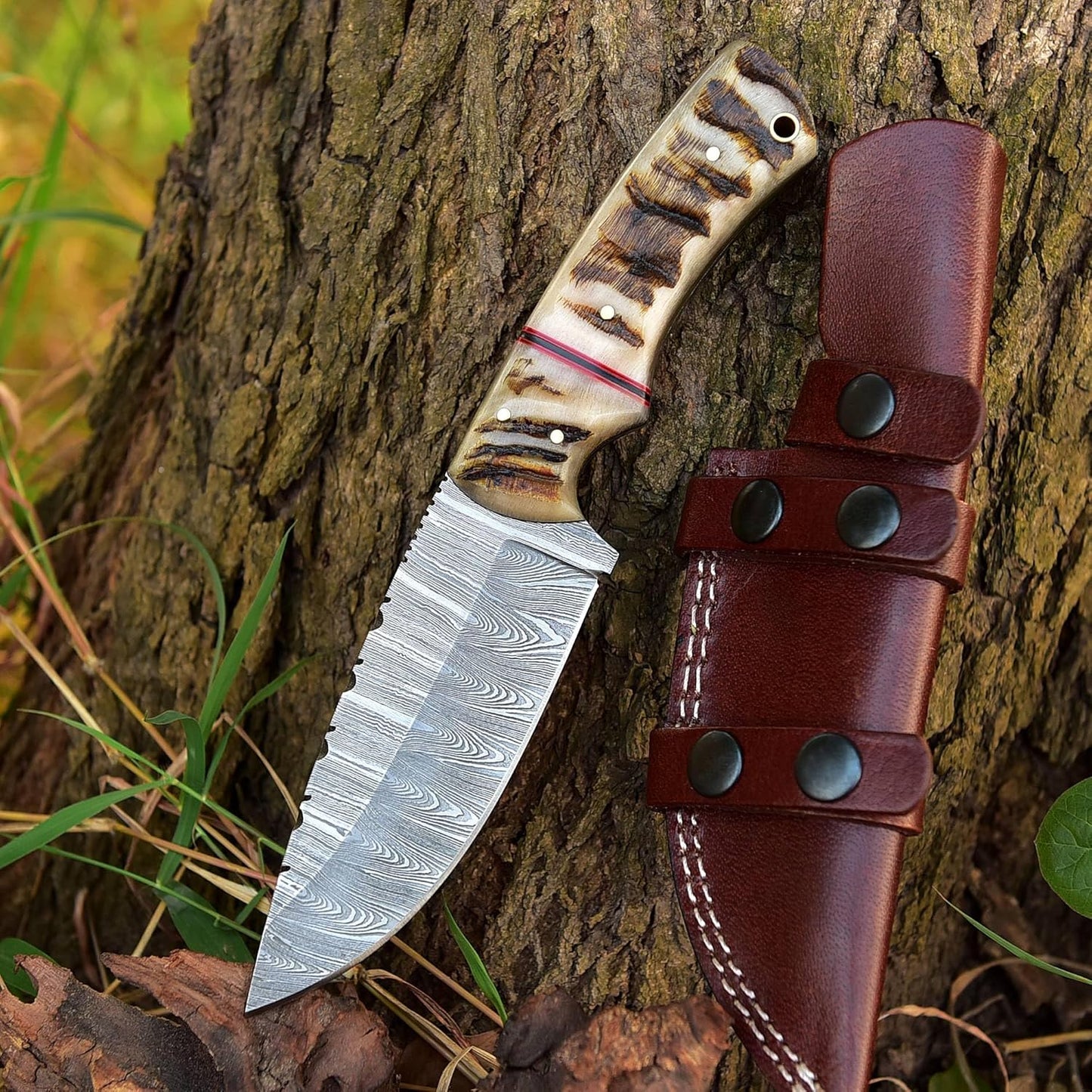 Ram Horn Handle 9.25" Damascus Hunting Knife