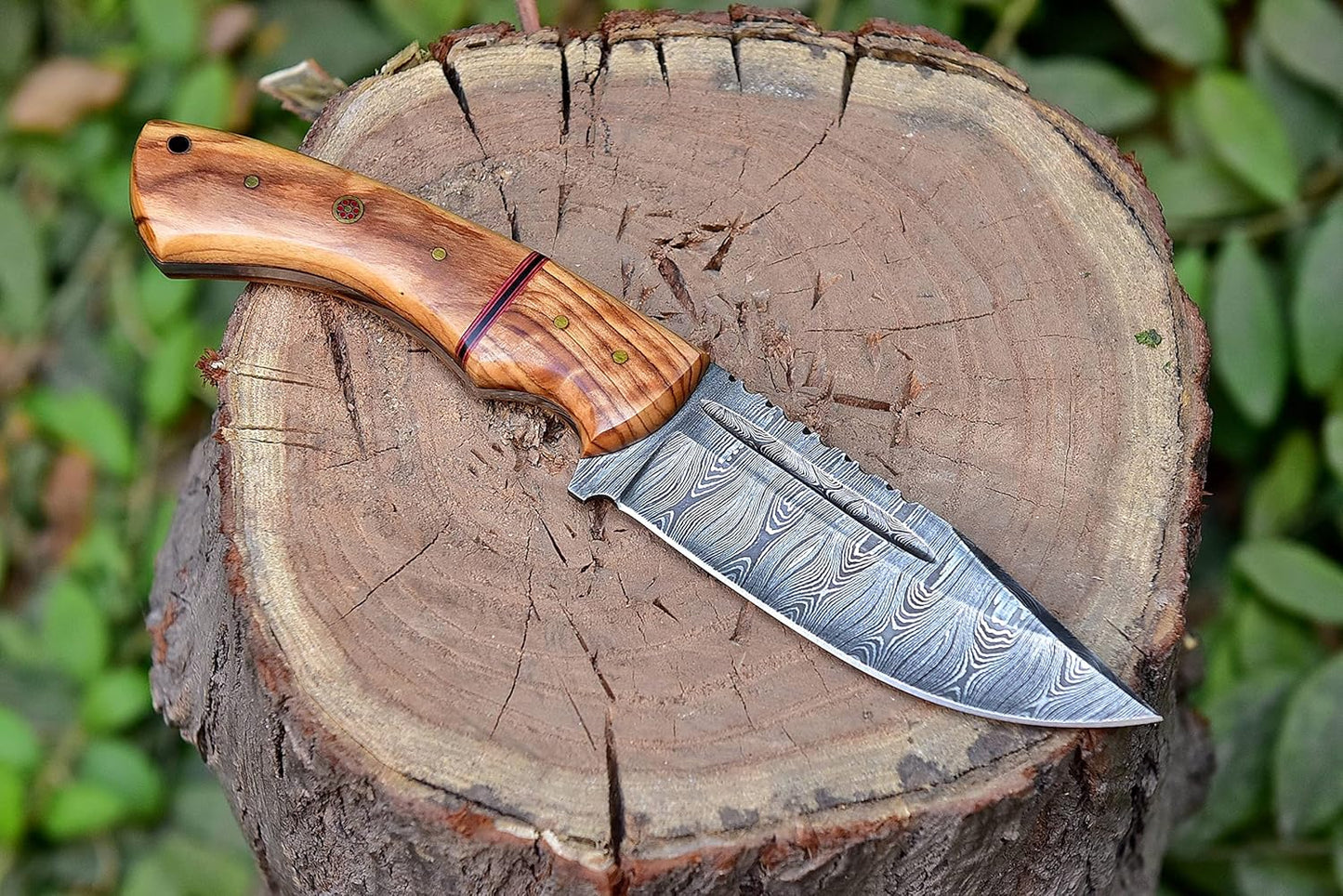 Olive Wood Handle 9.75" Damascus Hunting Knife