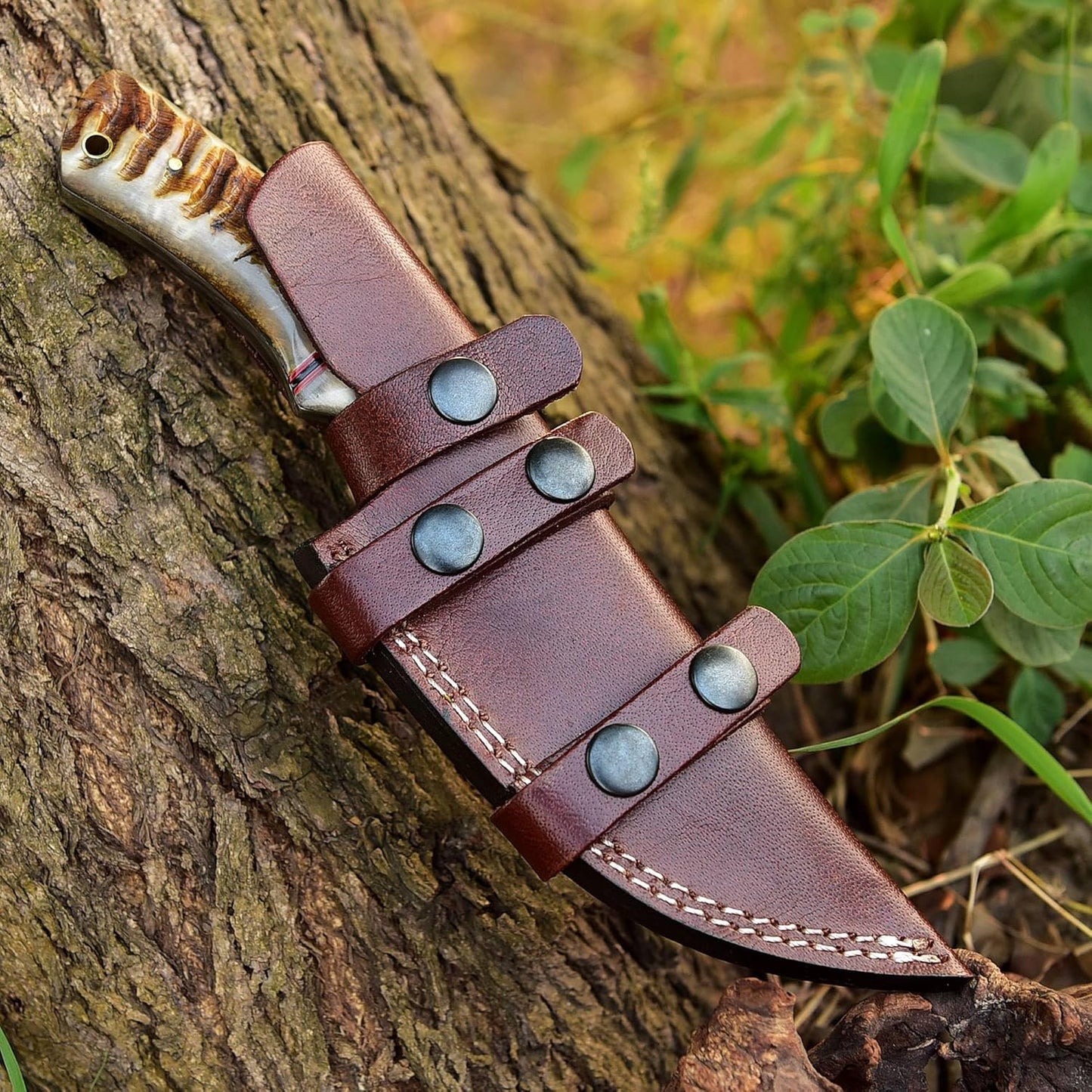 Ram Horn Handle 9.25" Damascus Hunting Knife