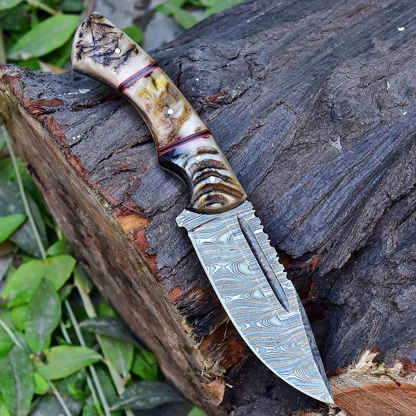 Ram Horn Handle 9.5" Damascus Hunting Knife