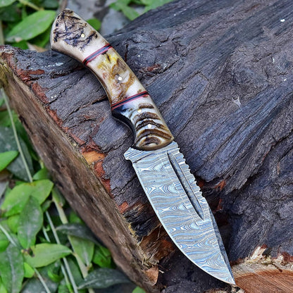 Ram Horn Handle 9.5" Damascus Hunting Knife