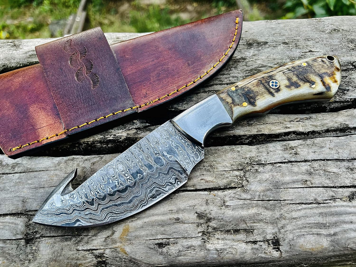 Ram Horn Handle 9.1" Damascus Hunting Knife