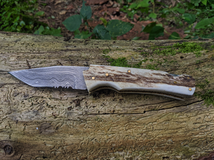 Engraved Damascus Folding Pocket Knife | Deer Antler Handle