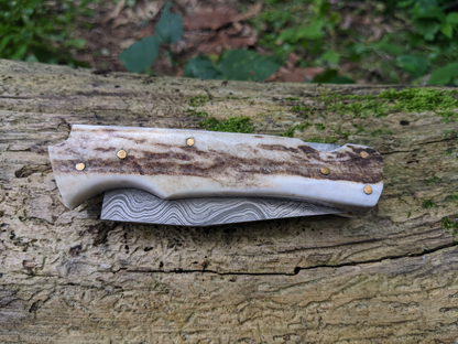 Engraved Damascus Folding Pocket Knife | Deer Antler Handle