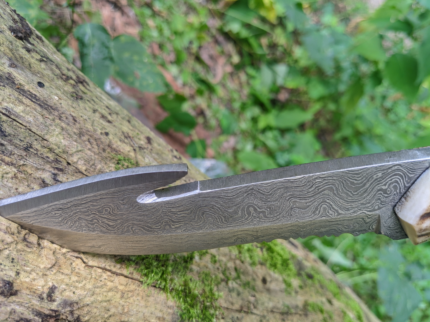 Engraved Damascus Hunting Knife Green Malachite Antler Handle