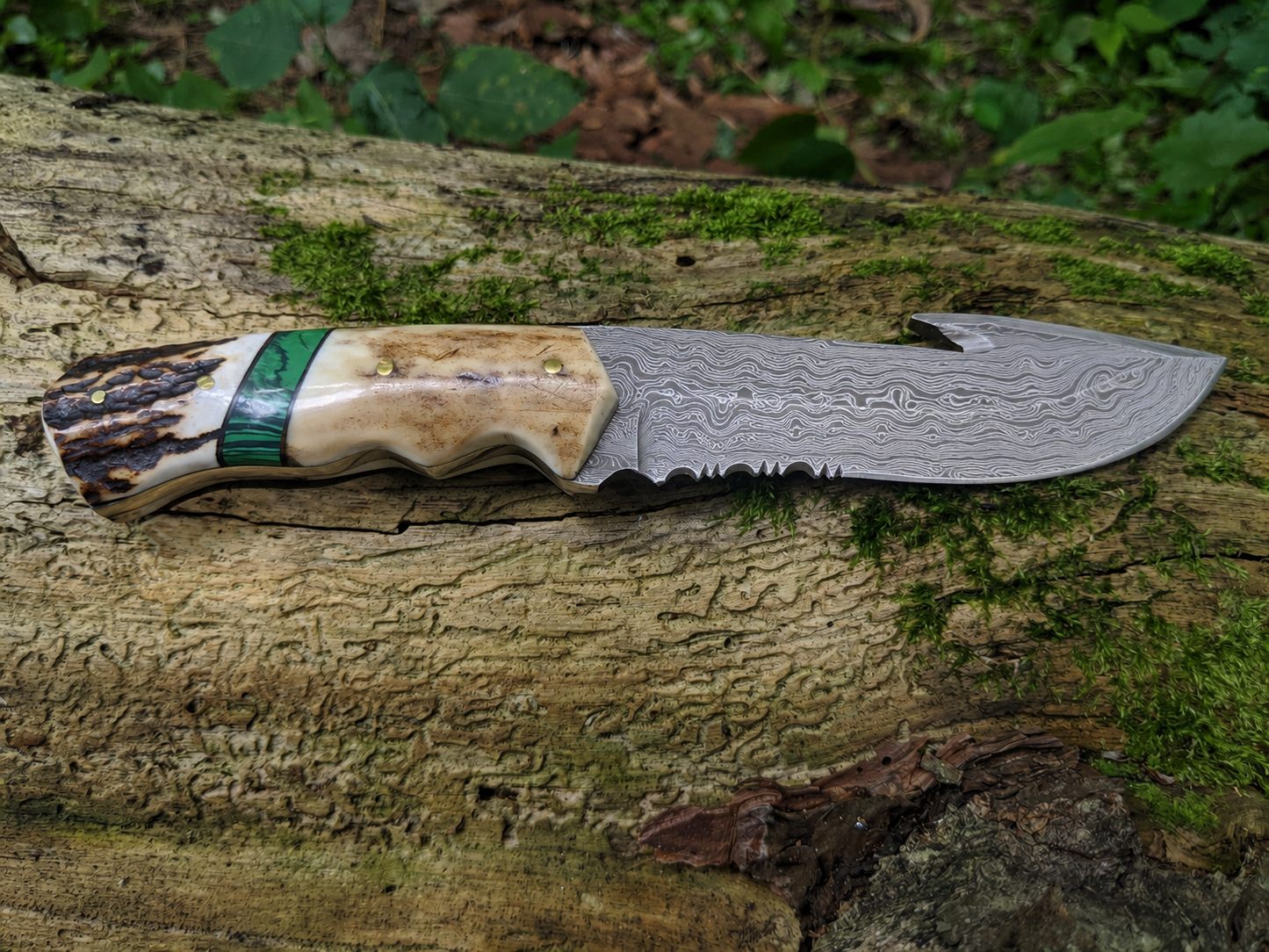 Engraved Damascus Hunting Knife Green Malachite Antler Handle