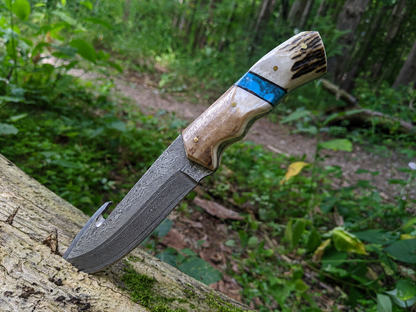 Engraved Damascus Hunting Knife Blue Turquoise Antler Handle
