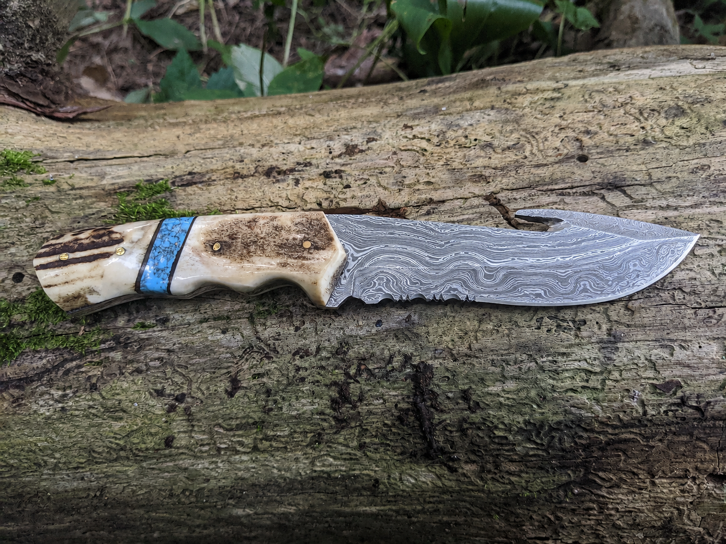 Engraved Damascus Hunting Knife Blue Turquoise Antler Handle