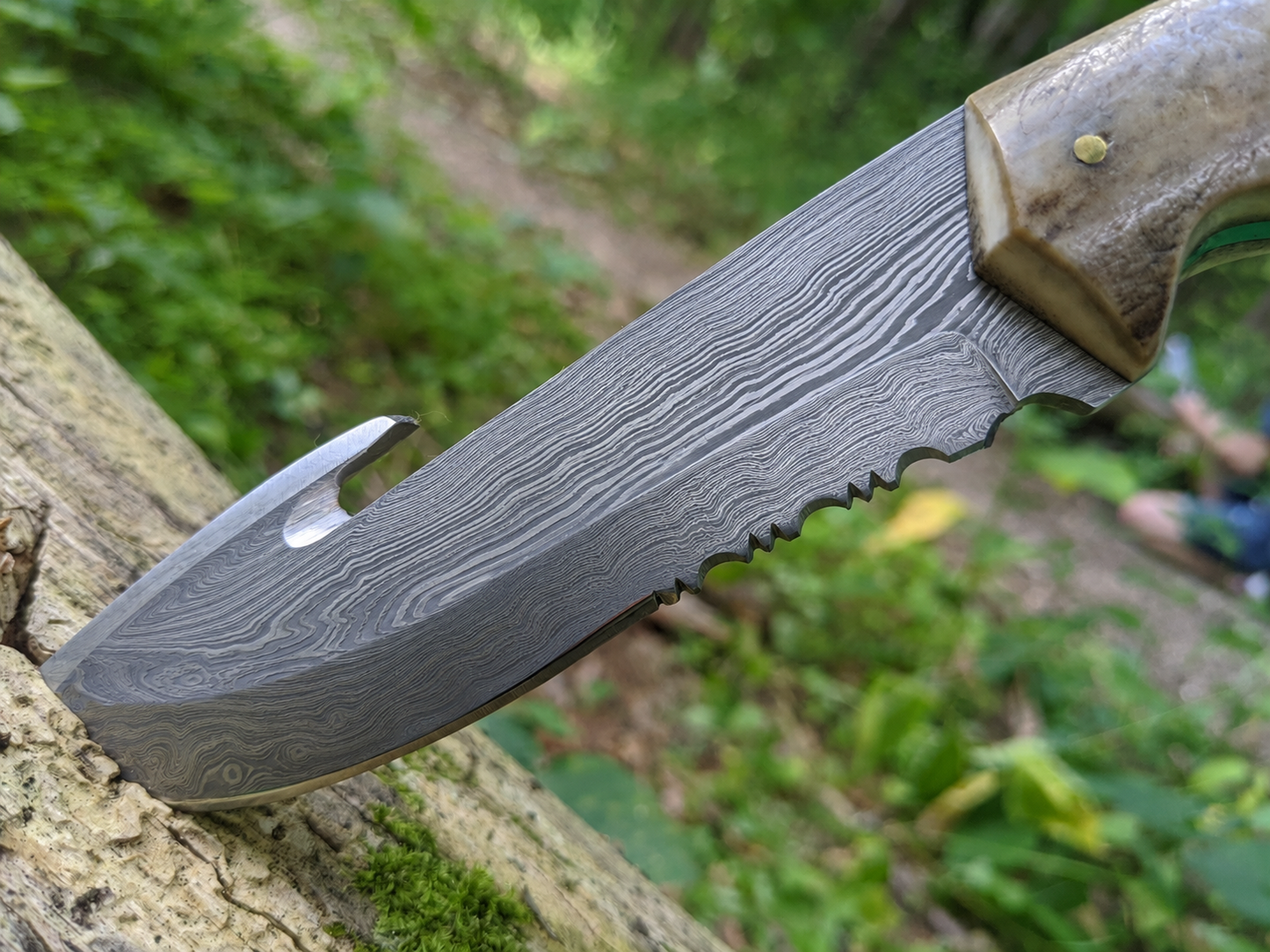 Engraved Damascus Hunting Knife Blue Turquoise Antler Handle