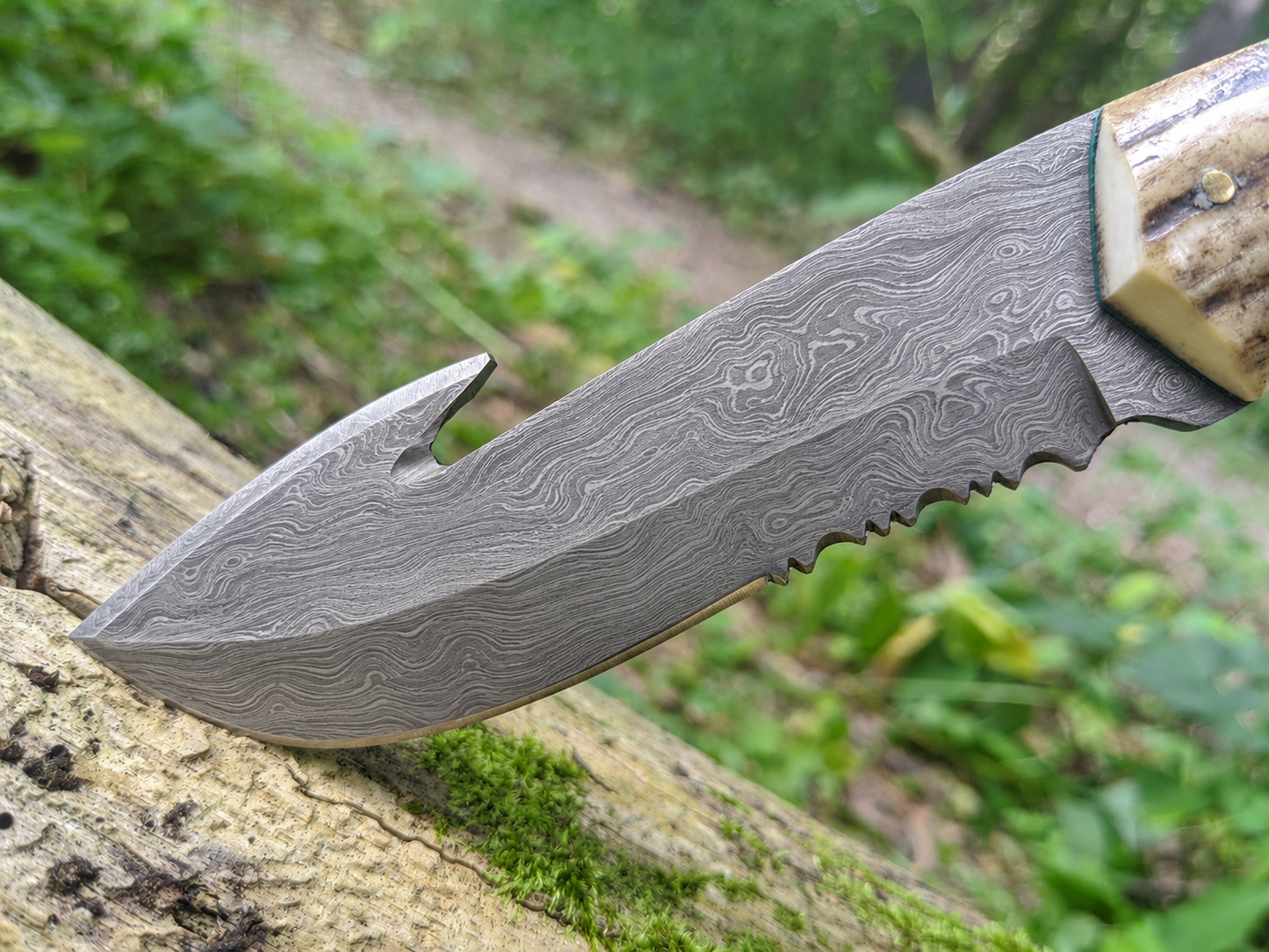 Engraved Damascus Hunting Knife Green Malachite Antler Handle