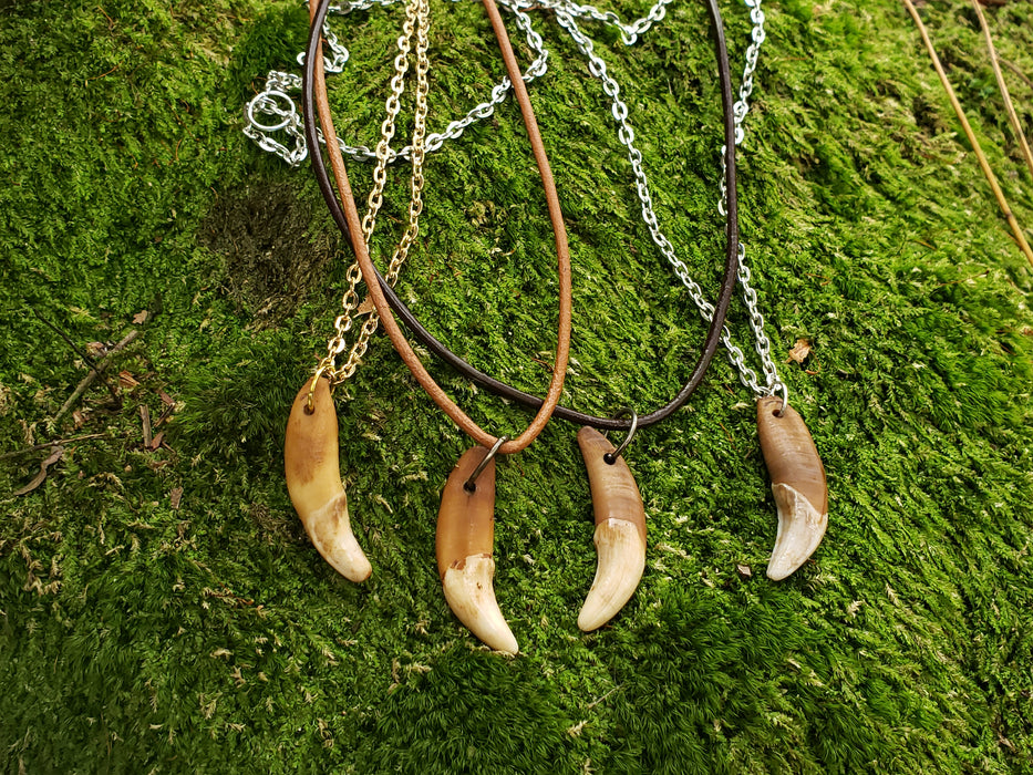 Coyote Tooth Necklace Antiqued Fang AQCN - North Rustic