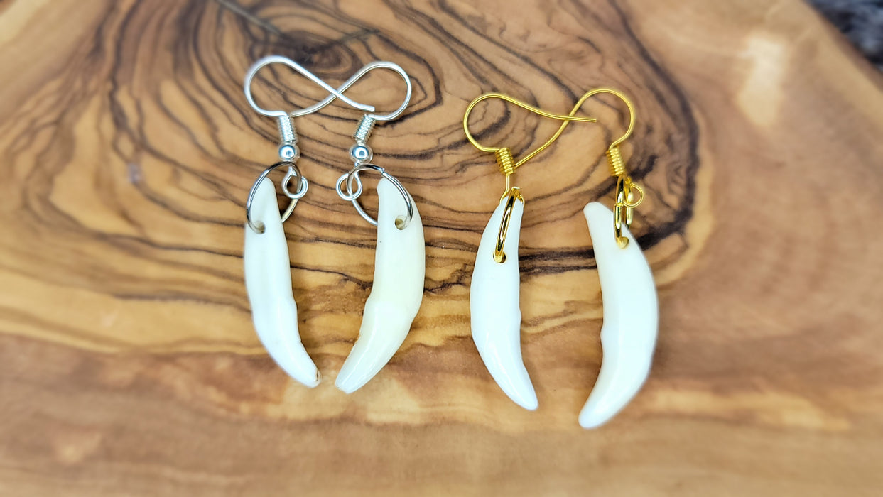 Coyote Tooth Drop Earrings Polished White (WCE) - North Rustic