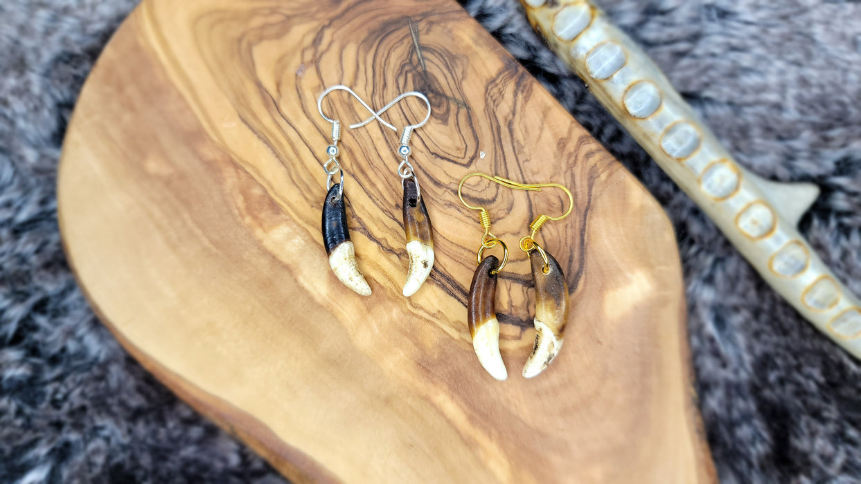 Antiqued Coyote Tooth Drop Earrings (AQCE) - North Rustic