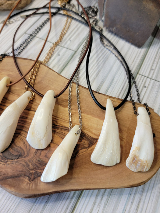 Bison Tooth Necklace Rustic Outdoors Jewelry - North Rustic