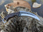 Personalized Hunting Knife | Wenge Wood Handle Karambit | NR07-5 - North Rustic